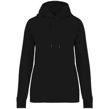 Native Spirit Ladies Raglan Sleeve Hoodie NS422