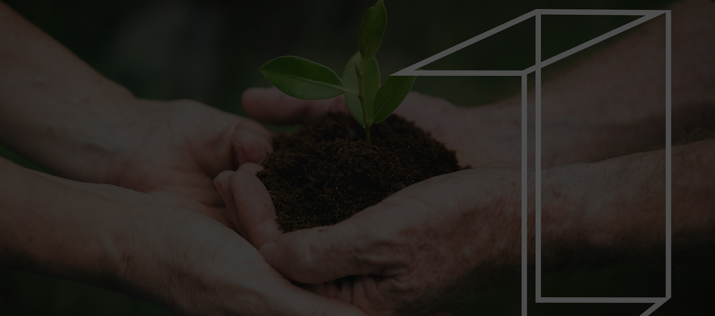 Carbon Neutral Status Announcement