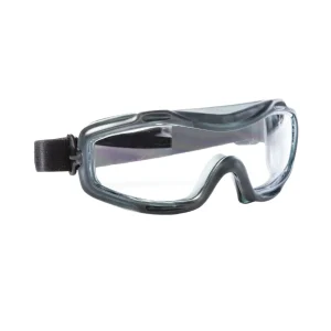 Riley Arezzo Clear Safety Goggle