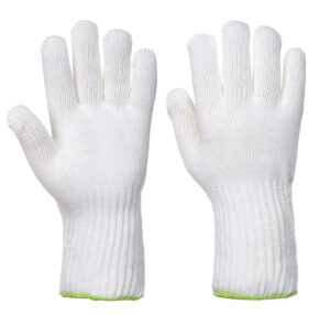 A590 Heat Resistant 250?C Gloves