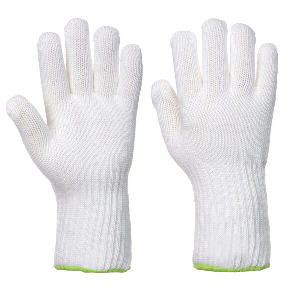A590 Heat Resistant 250?C Gloves